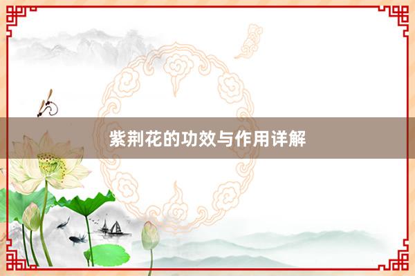 紫荆花的功效与作用详解