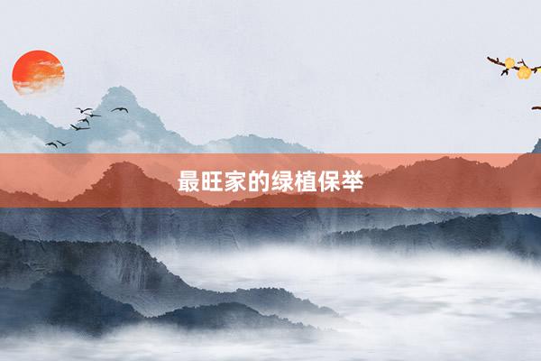 最旺家的绿植保举