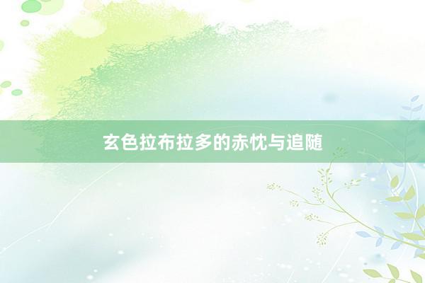 玄色拉布拉多的赤忱与追随