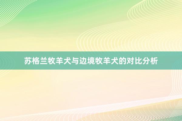 苏格兰牧羊犬与边境牧羊犬的对比分析